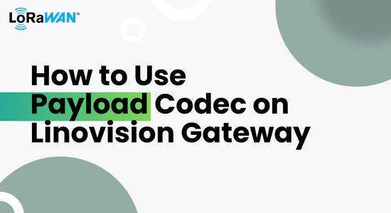 How to Use Payload Codec on Linovision Gateway